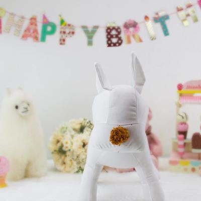 寵物服飾展示新風(fēng)尚 專業(yè)狗模特與陳列架的魅力